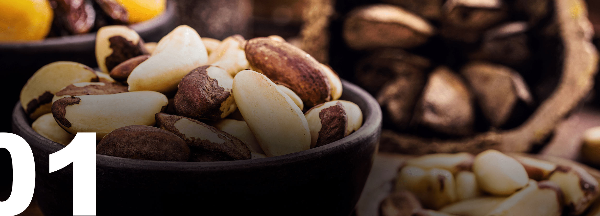 BRAZIL NUT SUPPLY CHAIN STUDY