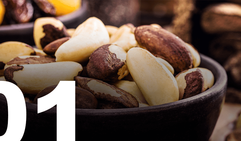 BRAZIL NUT SUPPLY CHAIN STUDY